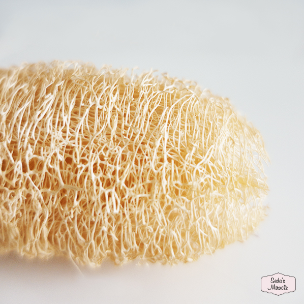 Natural Loofah scrub sponge