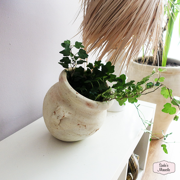 Nafra pot
